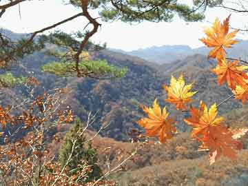 咸宁娘娘误喝打胎药视频（古代娘娘怀孕喝打胎药）